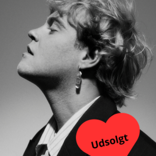 Hjalmer på Realen